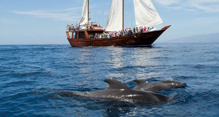 Ocean House & Perfect For You Costa Adeje  Luaran gambar