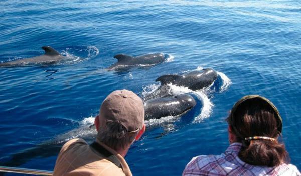 Ocean House & Perfect For You Costa Adeje  Luaran gambar